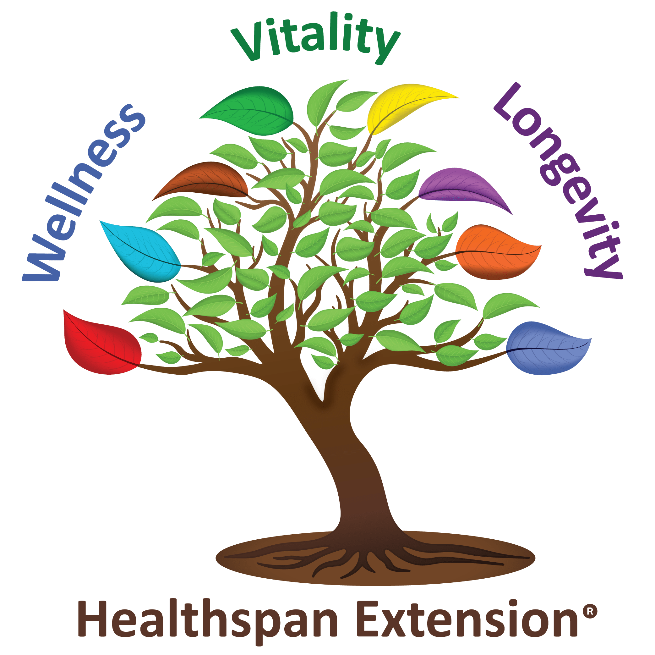 Healthspan Extension™ | Helping You Age Well and Stay Younger